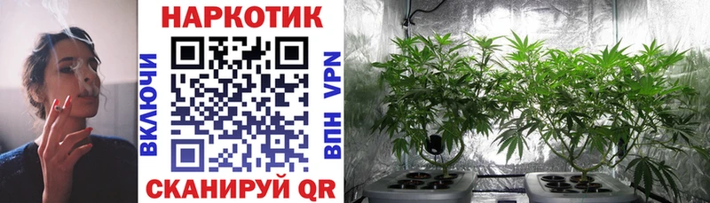 Где купить Таштагол A PVP Меф ГАШИШ Бошки Шишки