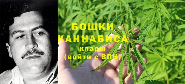 сатива Балабаново
